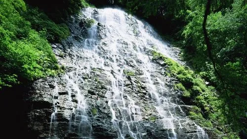 可靠性先进